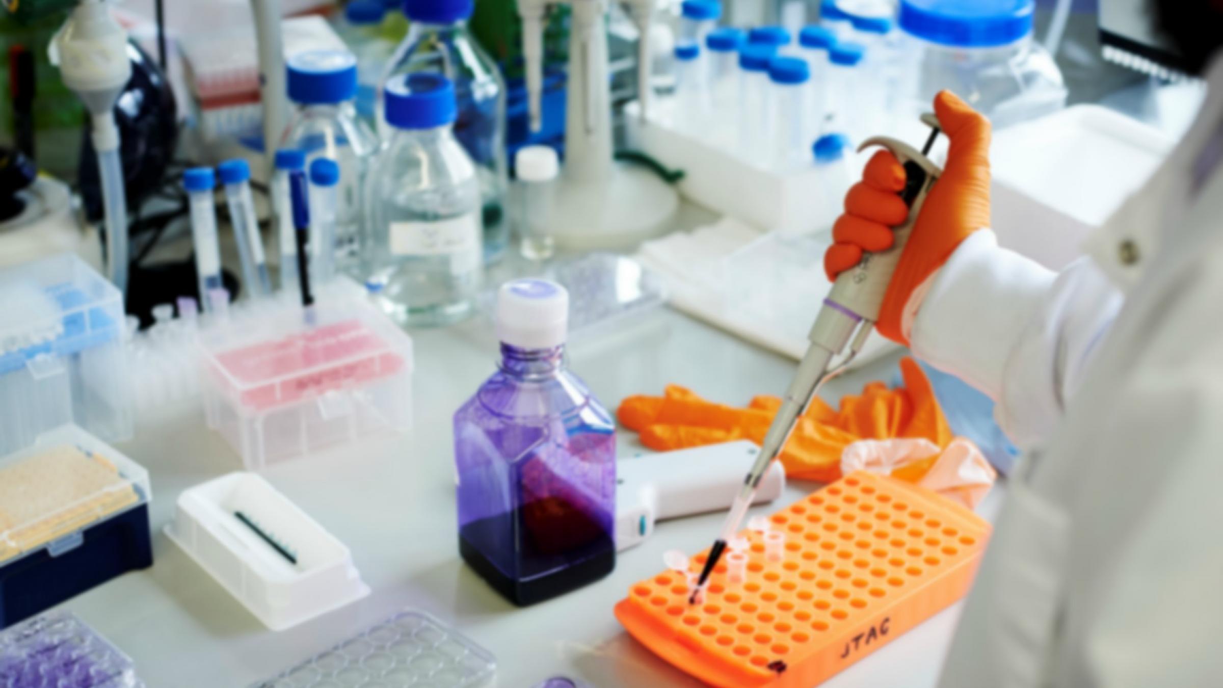 Working in the lab