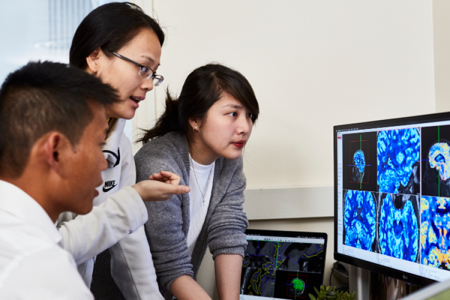 Early career researchers looking at a desktop screen of brain scans