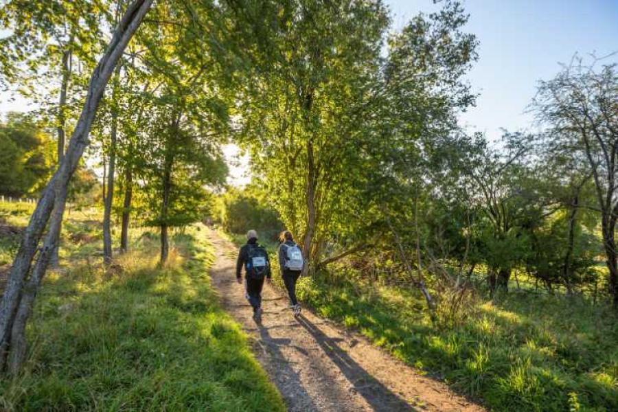 A couple walking into the woods