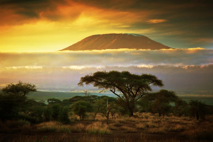 Kilimanjaro at dusk