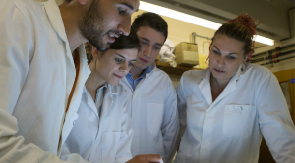 Four researchers looking at a screen