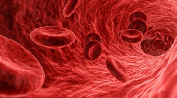 Red blood cells