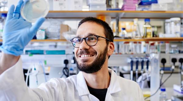 Researcher looking at petri dish in lab