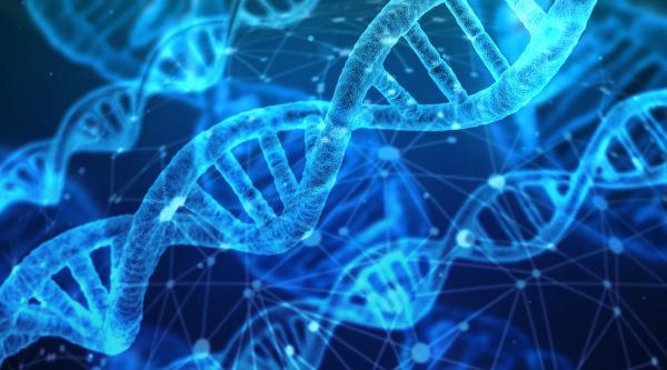 Genetherapy