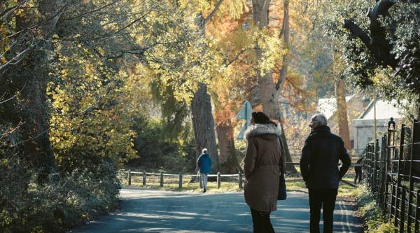 Couple walking in woods during Autumn