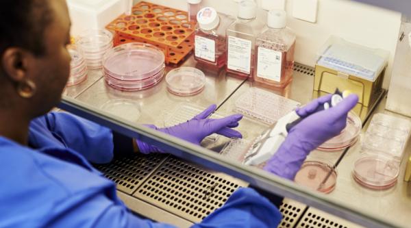 Researcher in the lab