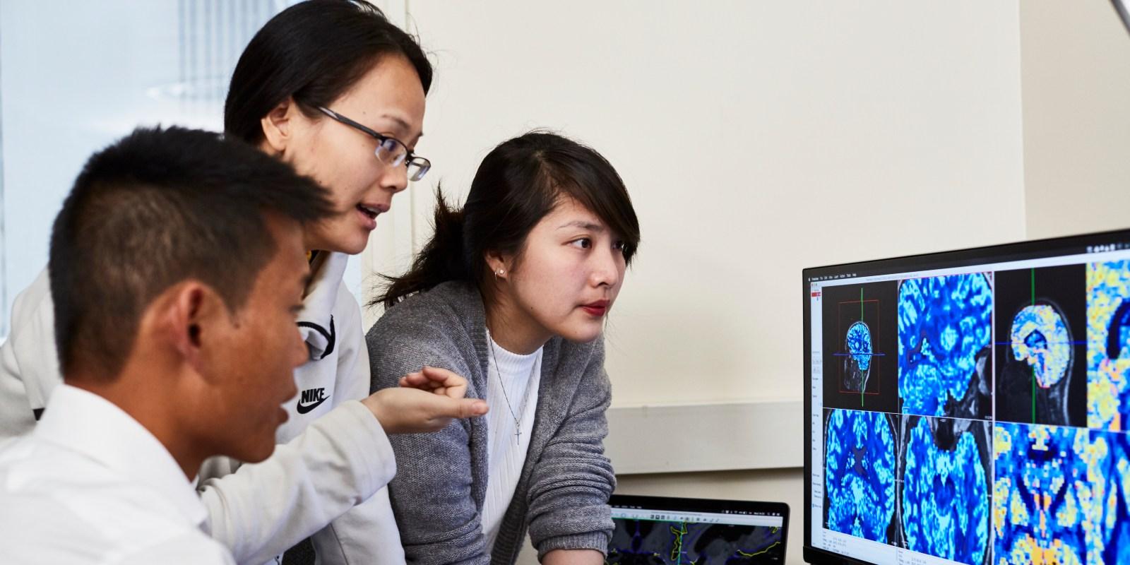 Early career researchers looking at a desktop screen of brain scans