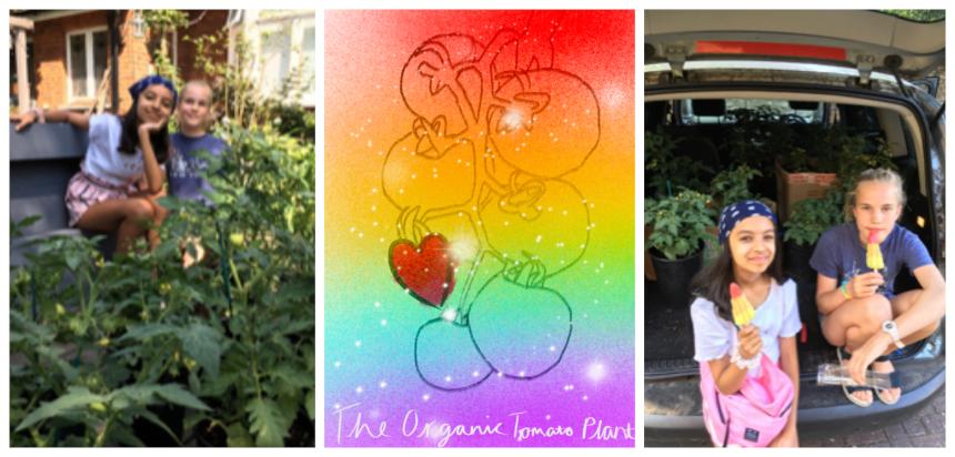 Two young girls with lots of tomato plants and a colourful poster
