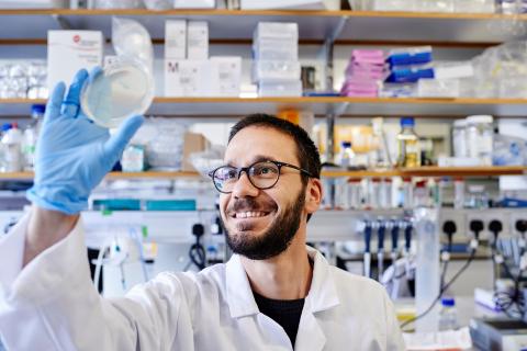 UK DRI research looking at a petri dish