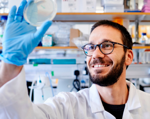 Researcher looking at petri dish in lab