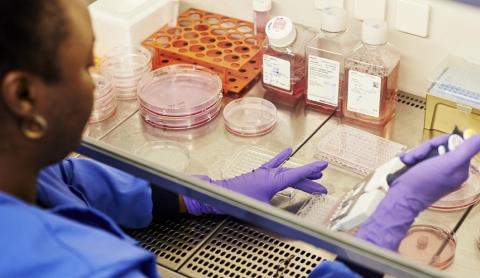 A person conducts tests in a lab setting