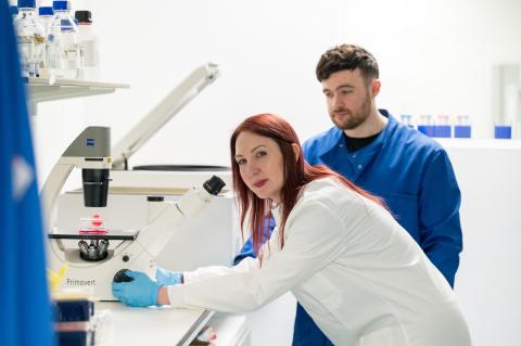 Two researchers in a laboratory examining samples under a microscope